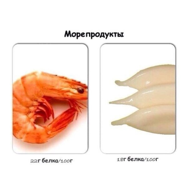 Содержание белка в распространенных продуктах. Помним, что в крупах и бобовых-растительные белки, а ...
