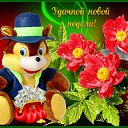 ���� ������, ���, 55 ��� - ��������� 31 ������ 2017 � ������ ���� ����������