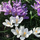 ����� 2017 �� ������� ���� ����������