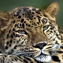 ���� �����, ���������, 48 ��� - ��������� 27 ������� 2017