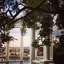 ���� ����, �����������, 31 ��� - ��������� 31 ������� 2016 � ������ ���� ����������