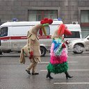 ���� ������, ���������, 56 ��� - ��������� 17 ������ 2016 � ������ ������ ��������