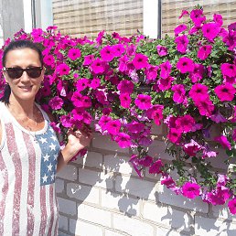 �������, �������, 53 ����