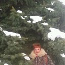 ���� �����, �������, 48 ��� - ��������� 11 ������� 2017 � ������ ���� ����������