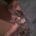 ���� ������, ����, 43 ���� - ��������� 30 ������ 2016 � ������ ���� ����������