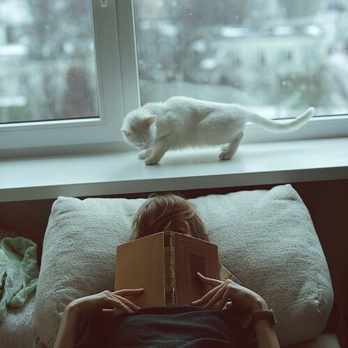 Список главных книг, которые стоит прочитать. Сохрани к себе на стену, чтобы не потерять. Михаил ...