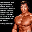 ���� �����, �������, 37 ��� - ��������� 18 ����� 2017