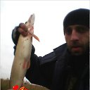 ���� �����, �������, 37 ��� - ��������� 21 ������� 2016 � ������ ���� ����������