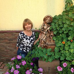 ���������, ������, 66 ���