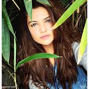 ���� �����, ���� - ��������� 25 ������� 2017 � ������ ���� ����������