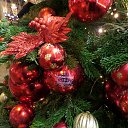 ���� Lenkamelenka, ������ - ��������� 28 ������� 2016 � ������ ���� ����������
