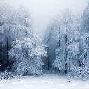 ���� ���a���, �����-��������� - ��������� 26 ������� 2016 � ������ ������ ��������
