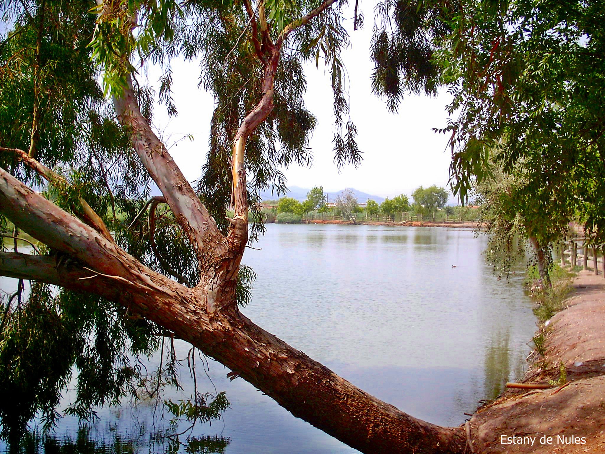 Nules lago ,  Nules