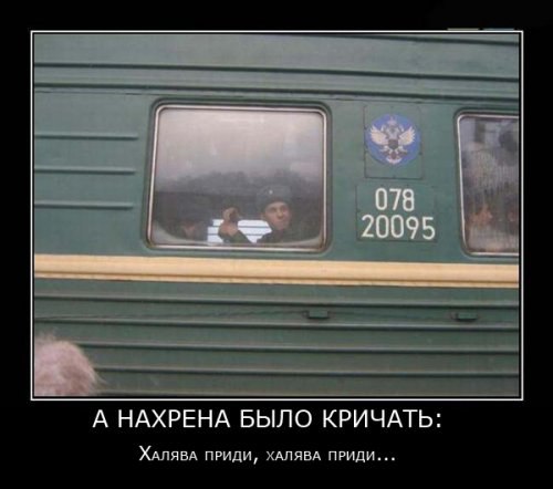 ��� � �������, ��������� ���� ������������ � ����������������� �����. - 11