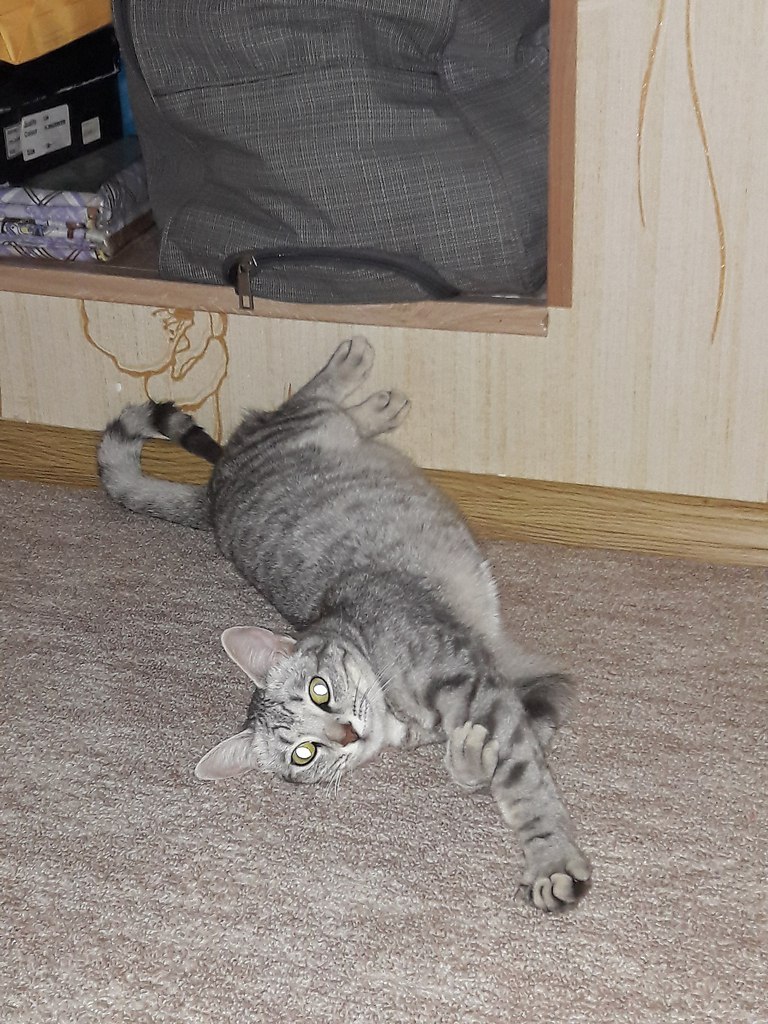 #_.        !   , ... - 2