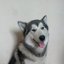 ���� �����, ������� - ��������� 21 ������� 2016 � ������ ���� ����������