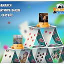 ���� ���������, ��������� - ��������� 22 �������� 2016 � ������ �������� �������-�������
