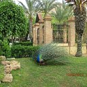 ���� ��������, Kouvola, 78 ��� - ��������� 24 ������� 2016 � ������ ����������������� ����