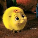 ���� ������, ������ �������� - ��������� 21 ������ 2017 � ������ ���� ����������