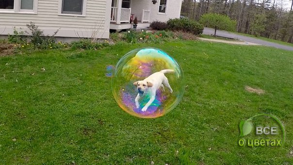 ������� ����