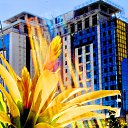  ,  -  20  2016        ͻ