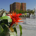  ,  -  20  2016        ͻ