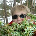 ���� �������))), �������� - ��������� 31 ����� 2017 � ������ ���� ����������