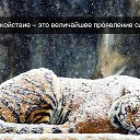 ���� �������, ����������� - ��������� 21 ������ 2016 � ������ ������.�