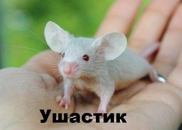 ��� �������� �������� - 11 �������� 2016 � 20:19