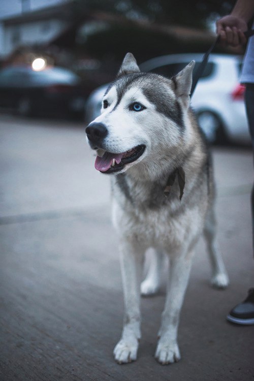 ������ �����!