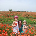 ���� �������, ������, 65 ��� - ��������� 18 ������ 2016 � ������ ���� ����������