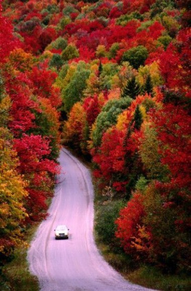   - 5  2016  06:06 - 5