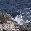 ���� �������, ������, 82 ���� - ��������� 23 ������� 2017 � ������ �2003 �1 ������.�