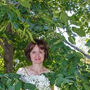 ���� �����, ���������, 55 ��� - ��������� 23 ������ 2017