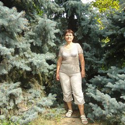 ���� �����, ���, 66 ��� - ��������� 8 ����� 2017