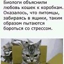 ���� �����, ������ - ��������� 31 ������� 2016 � ������ ���� ����������