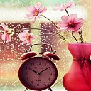 ���� �������, ����� - ��������� 22 ������� 2016 � ������ ������ ��������