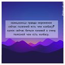 ���� ��������, ������ ��������, 48 ��� - ��������� 2 ������� 2016 � ������ ���� ����������