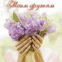 ���� �������, �������� - ��������� 4 ������� 2016 � ������ ���� ����������