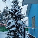 ���� �����, ������, 64 ���� - ��������� 17 ������ 2016 � ������ ���������� ������