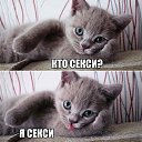 ���� ������, �����-���������, 44 ���� - ��������� 11 ������� 2016 � ������ ���� ����������