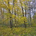  ,  -  6  2016       2  2016 