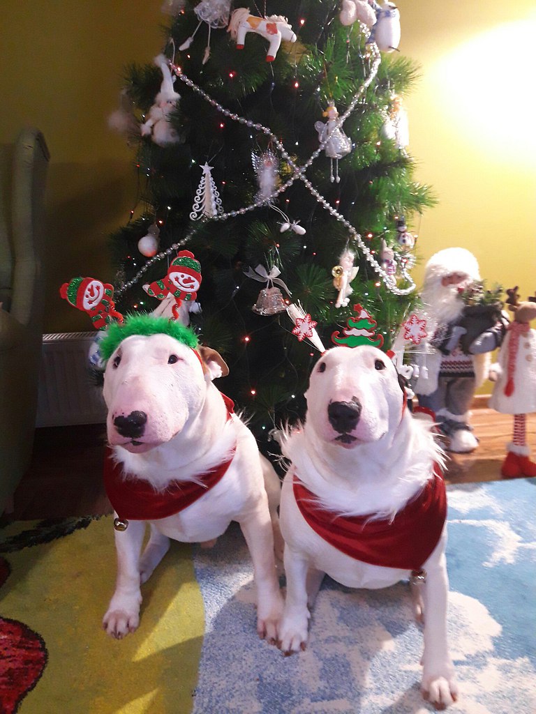 Доброе утро и с Новым годом всех!!! Первоянварские селфи с булками и салатами в комментарии!