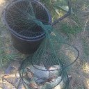 ���� �������, ����, 57 ��� - ��������� 30 ������� 2016 � ������ ��������