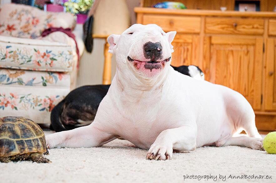 А завтра пятница