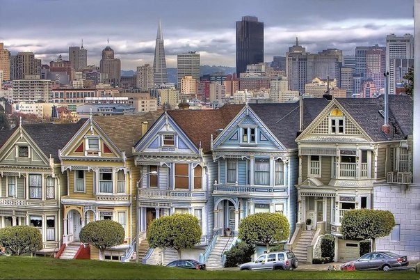    -     Painted Ladies - 3