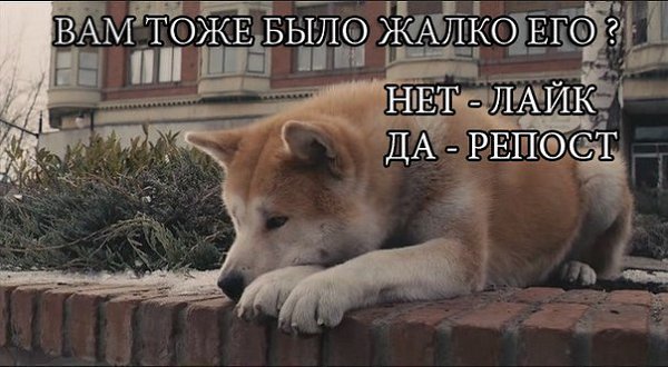    :D - 8  2017  03:38
