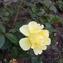 ���� �����, �����������, 60 ��� - ��������� 8 ������� 2016 � ������ �����-����� 2016�