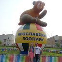 ���� ���������, �������� - ��������� 3 ������ 2017