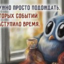 ���� ��������, ����� - ��������� 27 ����� 2017 � ������ ������ ��������